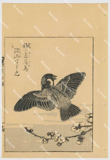 Discover Japanese woodblock print Kno Bairei (1844-189)