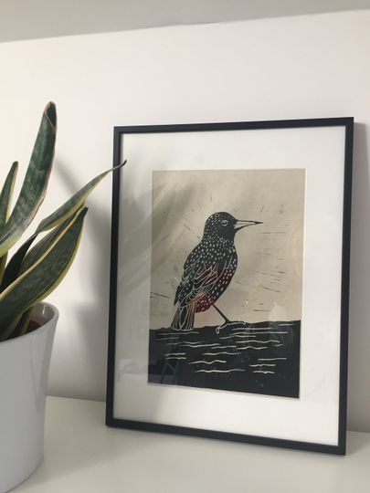 Discover Starling Lino print