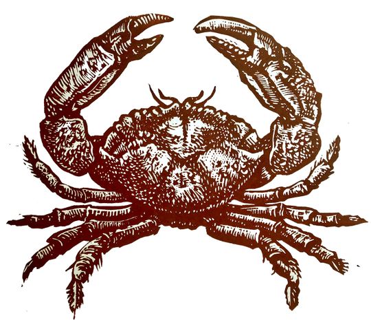 Discover wall decor, Florida Stone Crab, wall art, hand printed, relief print. Crab print,  custom printed, unique gift