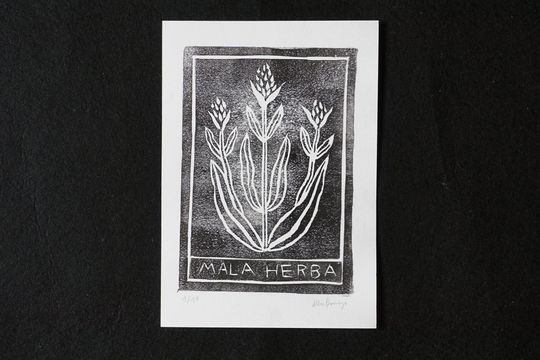 Discover Mala herba - Engraved in linoleum