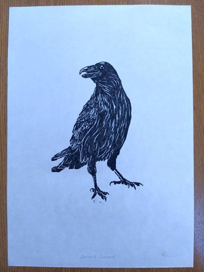 Discover Raven. Original, hand burnished linocut print.