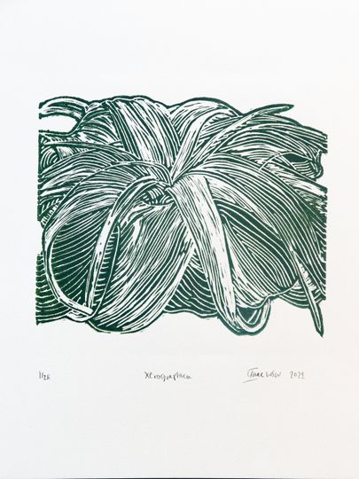 Discover Xerographica - Air Plant Linocut Print