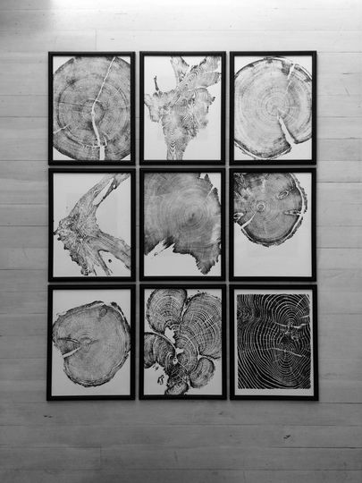 Discover Set of 9 Nature Inspired Tree Ring Art Prints