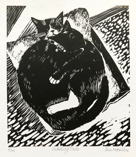 Discover Cuddling black and white cats