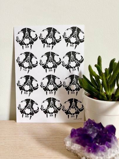 Discover Cat skulls