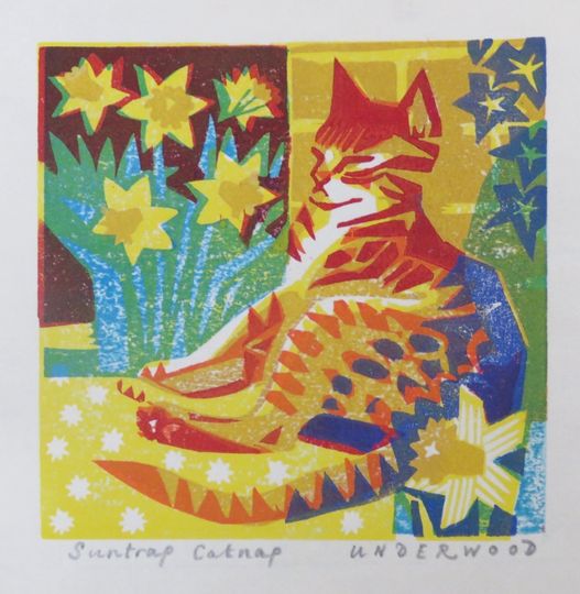 Discover Suntrap Catnap