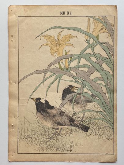 Discover 1891, Imao Keinen, " Orange Daylily (Kanzo), Thrush (Kachintsumugi) "
