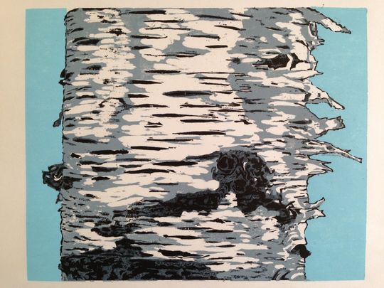 Discover Birch Trunk II