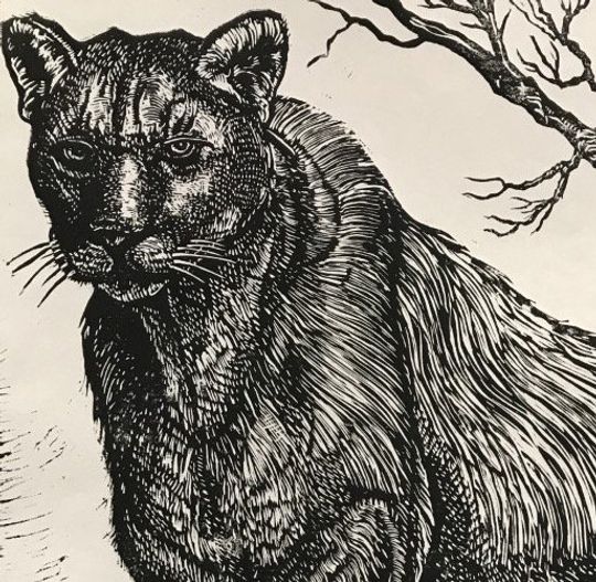 Discover Florida Panther Large Linocut Print Artisan Art
