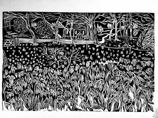 Discover Snowdrops at Oxborough An Original Print