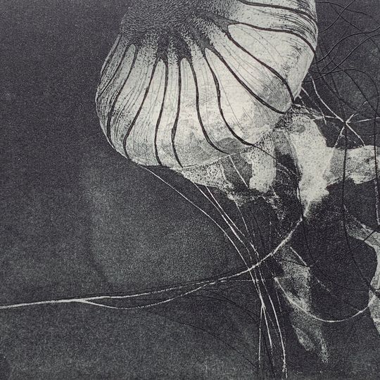 Discover Riko Maeshiro: "Regret" e.d. 20/20   2012