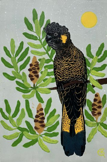 Discover Yellow Tailed Black Cockatoo