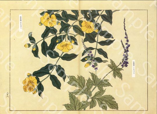 Discover Vintage Japanese woodblock  Botanical flower print