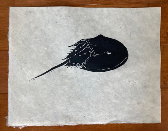 Discover Horseshoe Crab Print