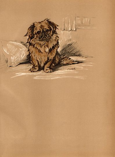 Discover Vintage Color Dog Print PATCH 1936 LUCY DAWSON Book Plate