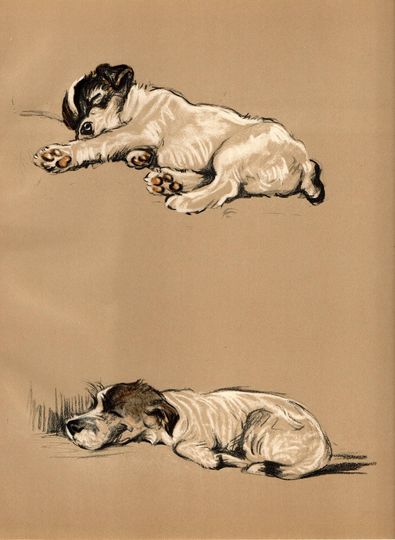 Discover Vintage Color Dog Print Mike the FOX TERRIER 1936 Lucy DAWSON Book Plate
