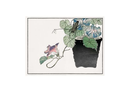 Discover Japanese Botanical Butterfly and Flower Wall Art Poster Print by Morimoto Toko Framed / Unframed