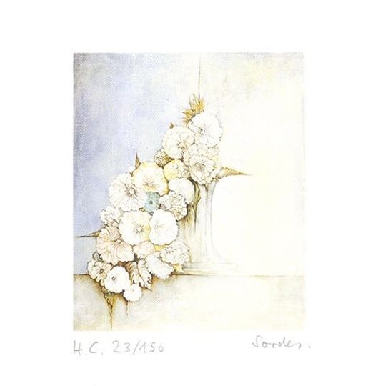 Discover Sordes - "Blten" - Color Offsetprint