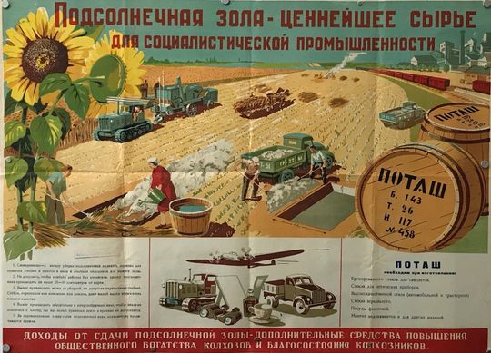 Discover 1940s Original Russian Poster, Sunflower Agricultural Poster
