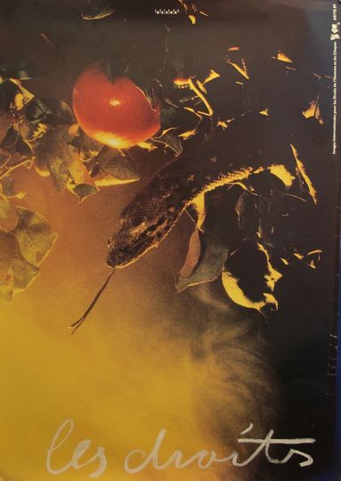 Discover 1989 Original Poster for Artis 89's Images Internationales pour les Droits de l'Homme et du Citoyen - Les Droits