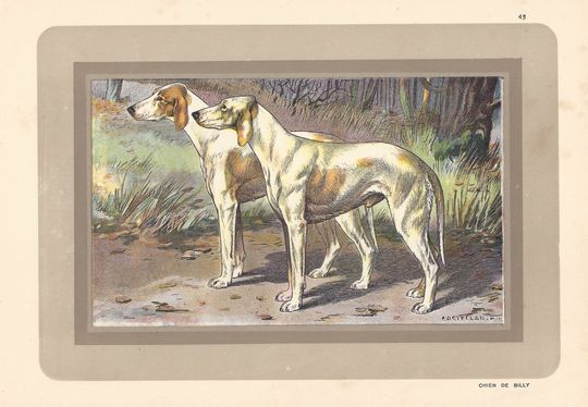 Discover Chien de Billy - French 1930s dog chromolithograph