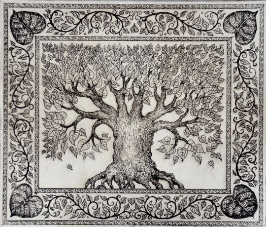 Discover Linden Tree Small etching