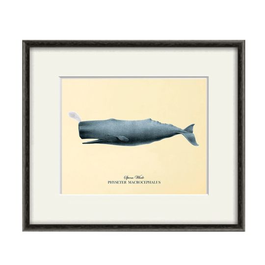 Discover Antique Whale Art Print for Nautical Home Decor