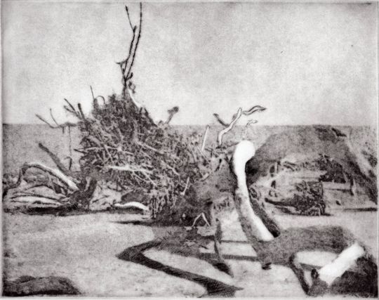 Discover Driftwood Beach 5 original hand printed etching