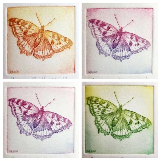 Discover Radierung eines Schmetterlings "Kleiner Fuchs" inklusive Passepartout, Etching of Small Tortoiseshell Butterfly including Passepartout