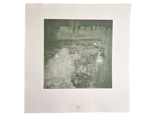 Discover Gustav KLIMT The Swamp Collotype on Paper, Das Werk 1914, Art Nouveau Wall Art Print