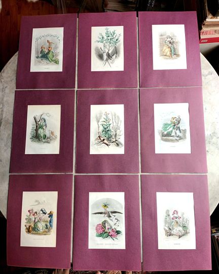 Discover Beautiful set of 9 colored prints from the 19th century - The Animated Flowers of Grandville - Beautiful Passe-partout old paper purple plum