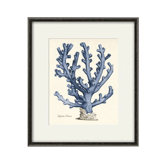 Discover Vintage Sea Coral Art Print - Nautical Ocean Decor