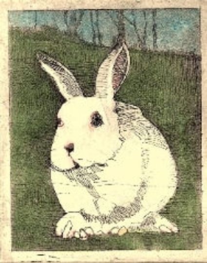 Discover White Bunny / etching