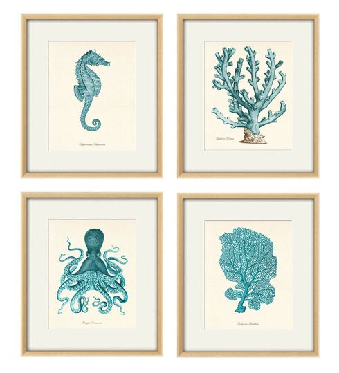 Discover Blue Sea Coral Vintage Nautical Print Set for Home