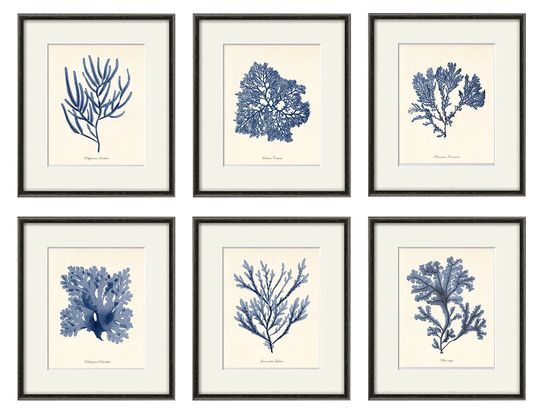 Discover Nautical Navy Blue Sea Coral Art Print Set