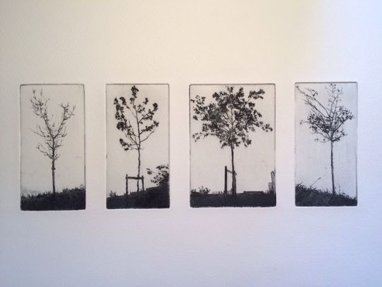 Discover Group of trees