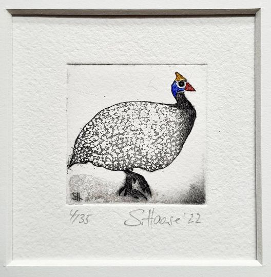 Discover Guinea fowl small, original etching coloured or black and white - Guinea Fowl, original Etching, colored or black&white, mit/with Passepartout