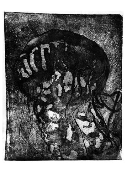 Discover Jellyfish | Etching