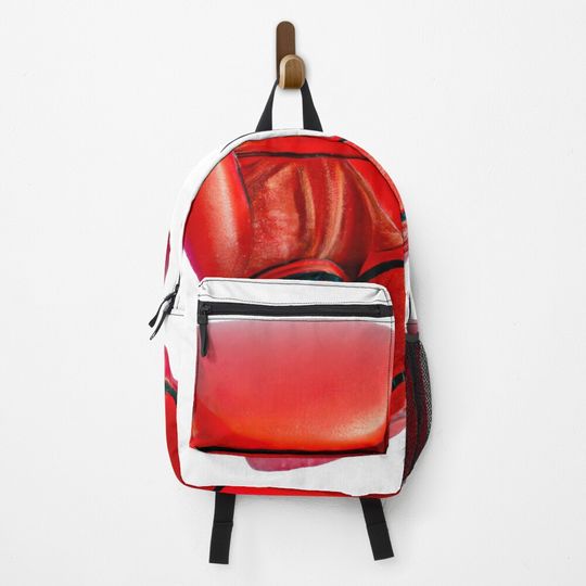 Discover Boxing Gloves Backpack
