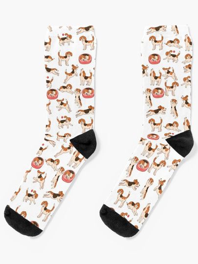 Discover Beagle dog in different poses  | Socks