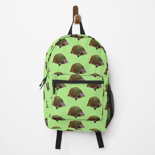 Discover Kung Fu Turtle Backpack