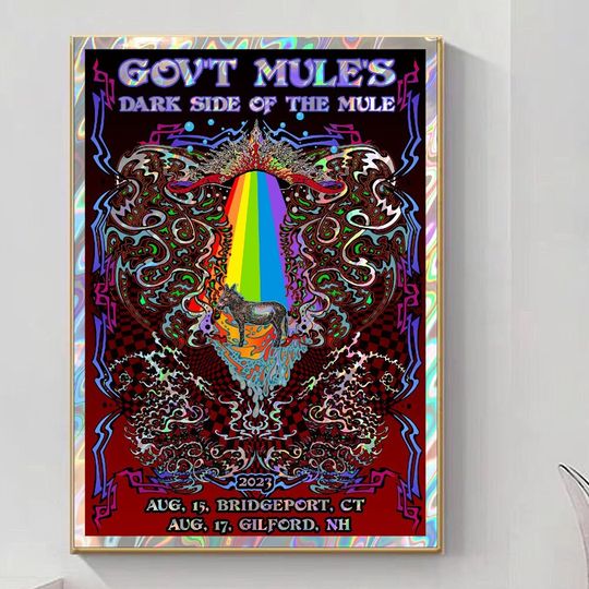 Discover Gov't mule tour 2023 Bridgeport CT art poster