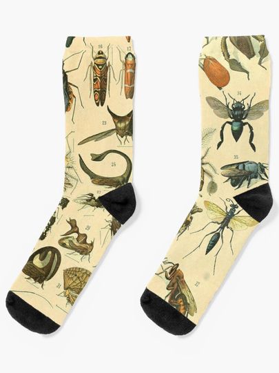 Discover Adolphe Millot Insectes B | Socks