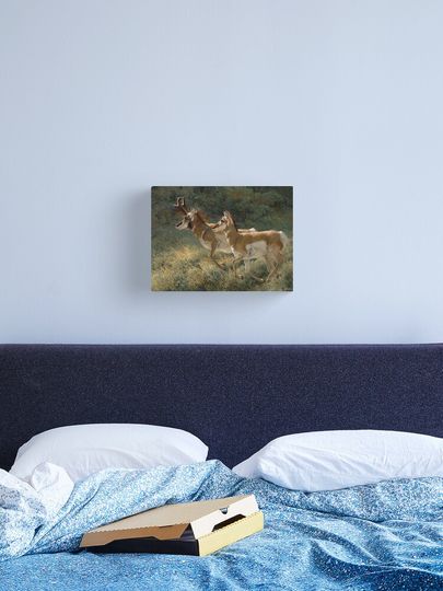 Discover Suspension | Canvas Print