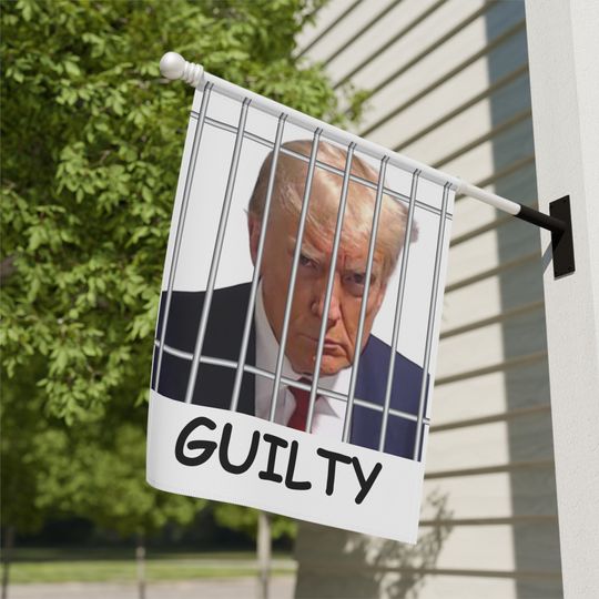 Discover Donald Trump Guilty Mug Shot Flag, Flag Pole, Donald Trump Guilty Flag