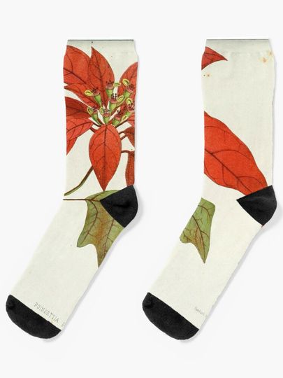 Discover Vintage poinsettia digital print | Socks