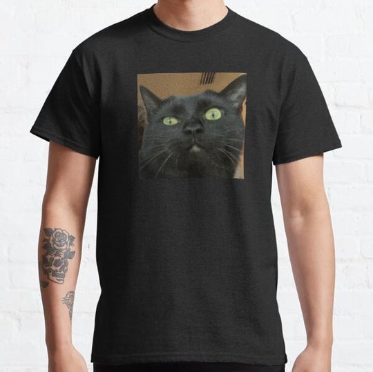 Discover Evil Eye Egypt The Black Cat T-shirts