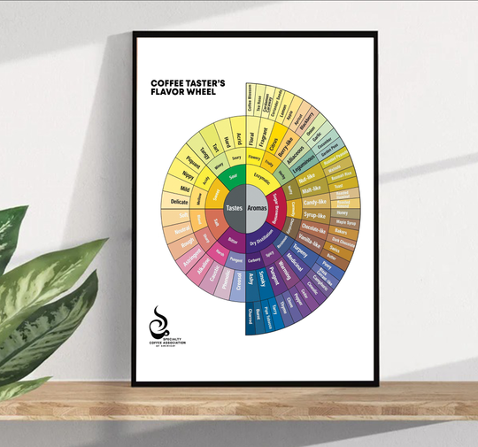 Discover ;Popchart wheel coffee Poster Premium Matte Vertical Poster