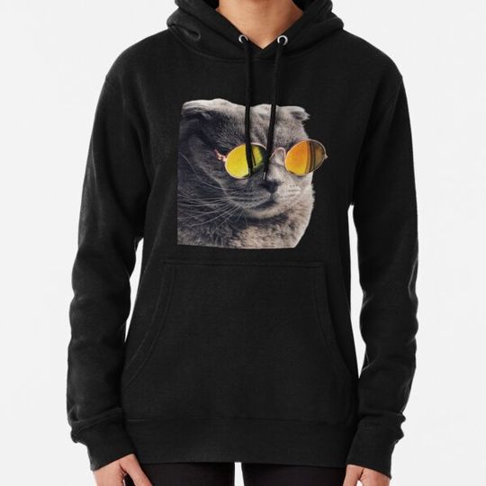 Discover A Cat and an Owl Hoodie