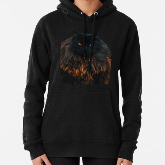 Discover A Cat and an Owl Hoodie #6